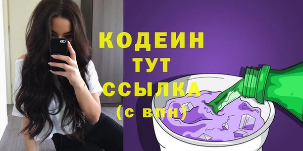 гашик Алексин