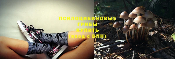 бошки Алексеевка