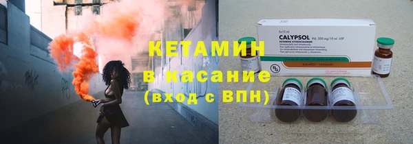 гашик Алексин