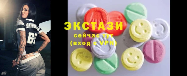 гашик Алексин