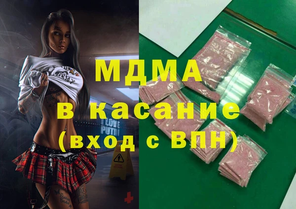 гашик Алексин