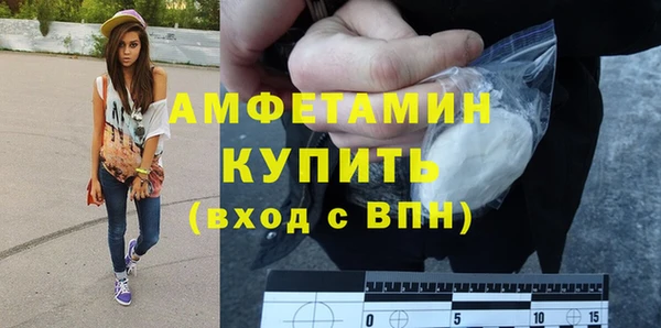 гашик Алексин