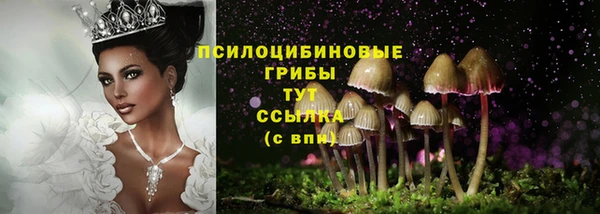 гашик Алексин