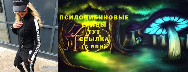гашик Алексин